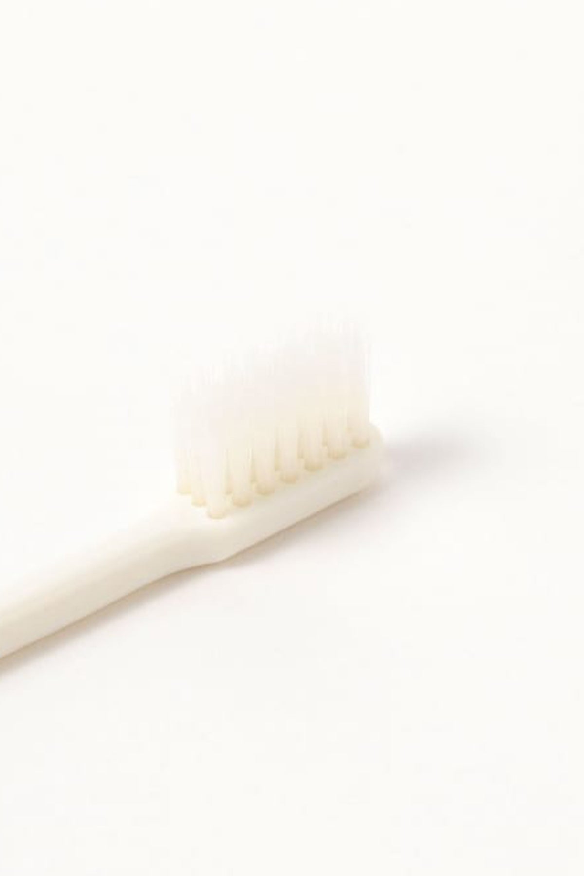 BEAMS JAPAN x LIFELLENGE Tooth Brush
