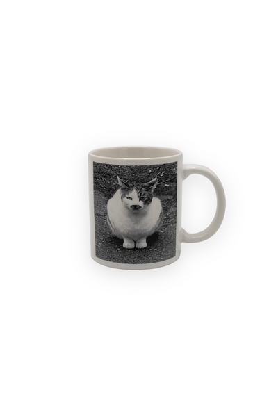 HIMAA Cat Mug