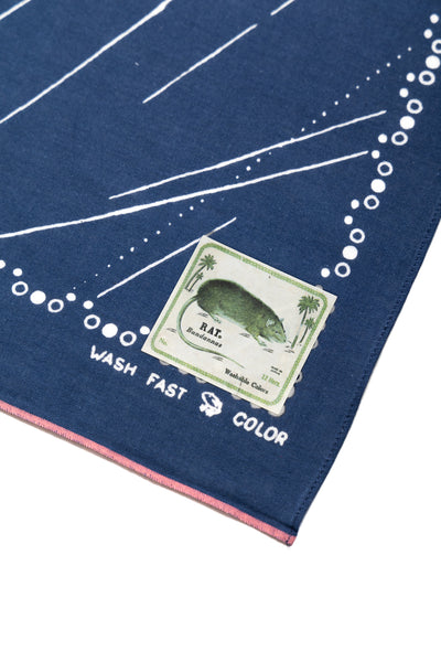 Fastcolor Selvedge Bandana (RAINBOWY)