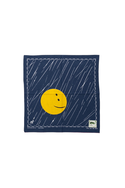 Fastcolor Selvedge Bandana (RAINBOWY)
