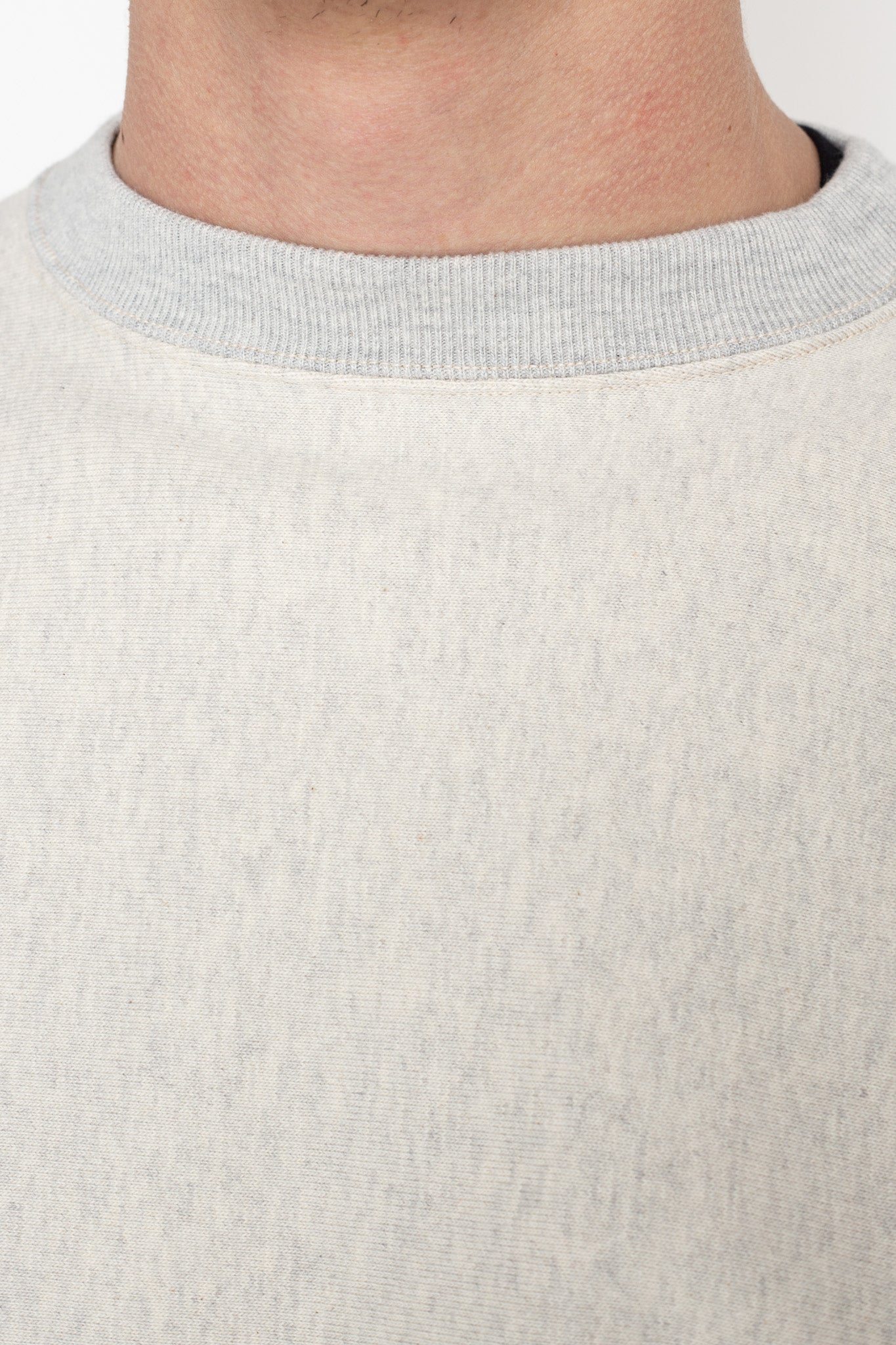 Heavyweight Crewneck Sweatshirt (Blue in Green Version) - Oatmeal×Ice Gray